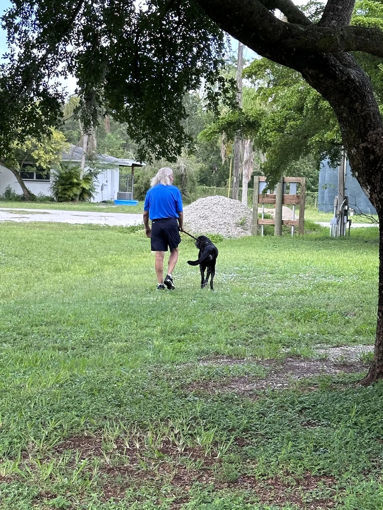 guy walking his dog on a leash