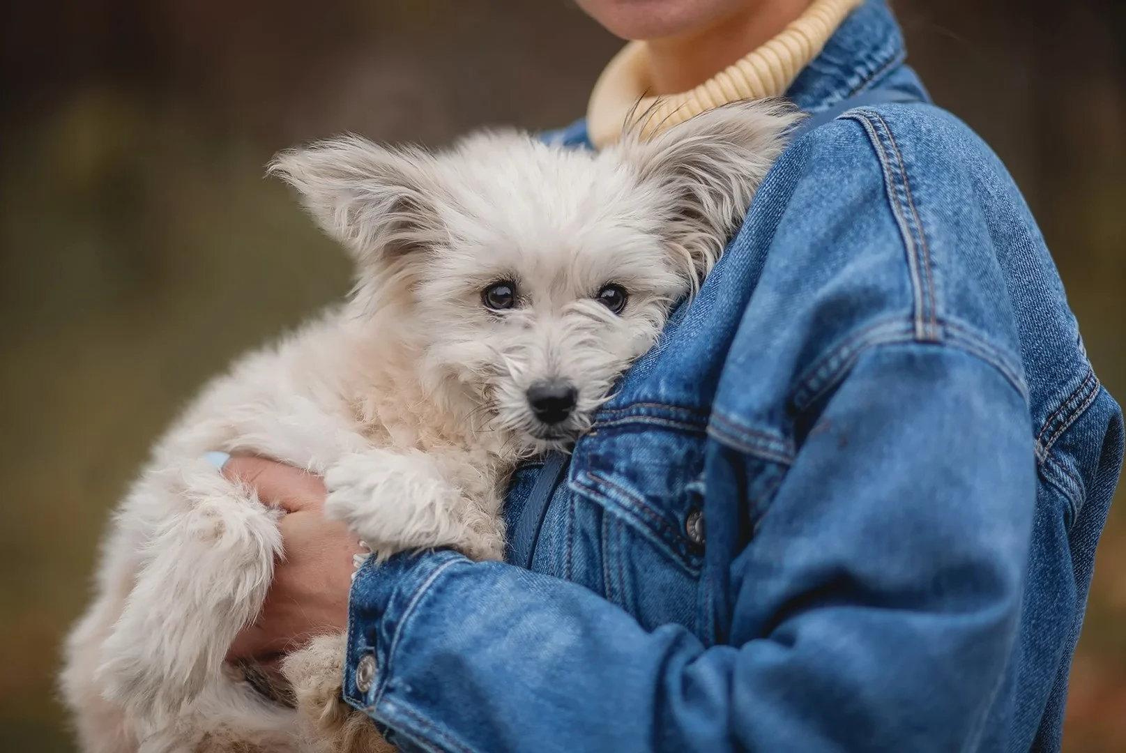 woman holding a dog