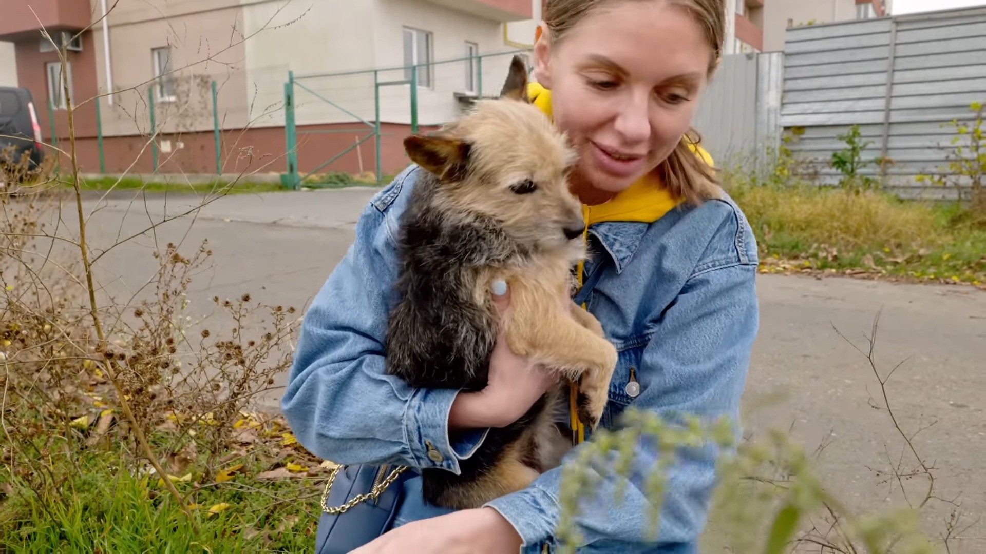 woman carrying a dog