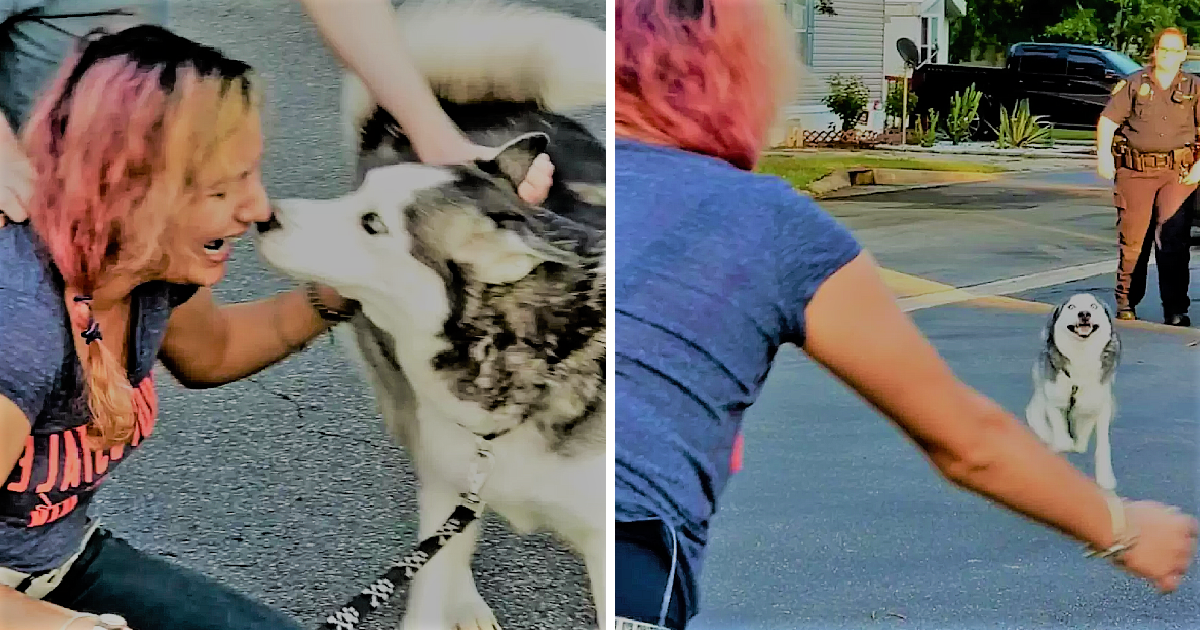 Woman Reunites with Her Lost Dog After Two Years of Searching Due to